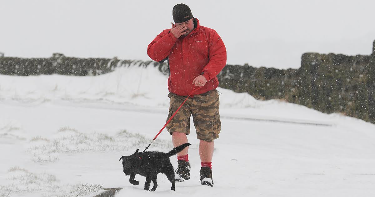 shorts, year round, cold, climate change, shorts guy, record temperature, shorts, cold,