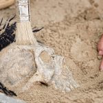 fossil, discovery, punk is dead