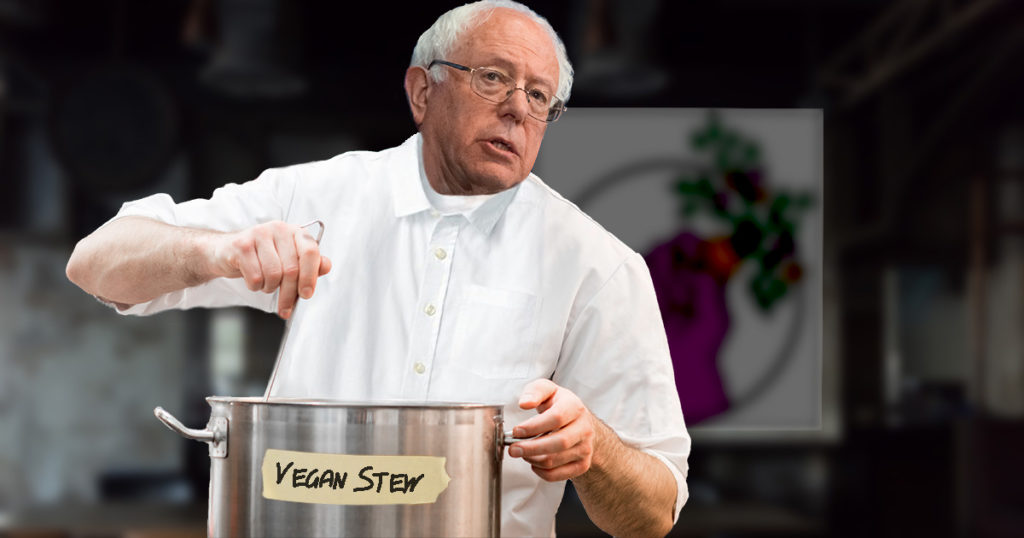 bernie sanders, food not bombs, lentil stew