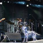 sublime, hologram, lou dog