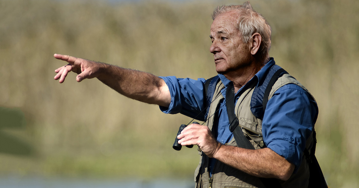 wes anderson, bill murray, birdwatching