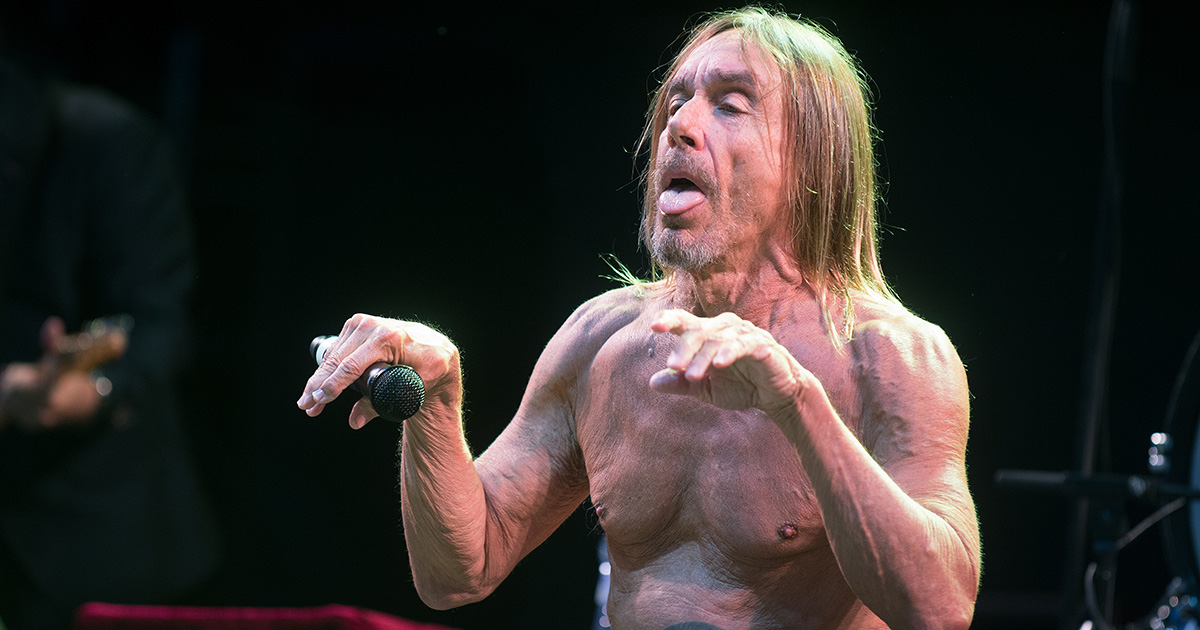 iggy, pop. obituary, iggy pop