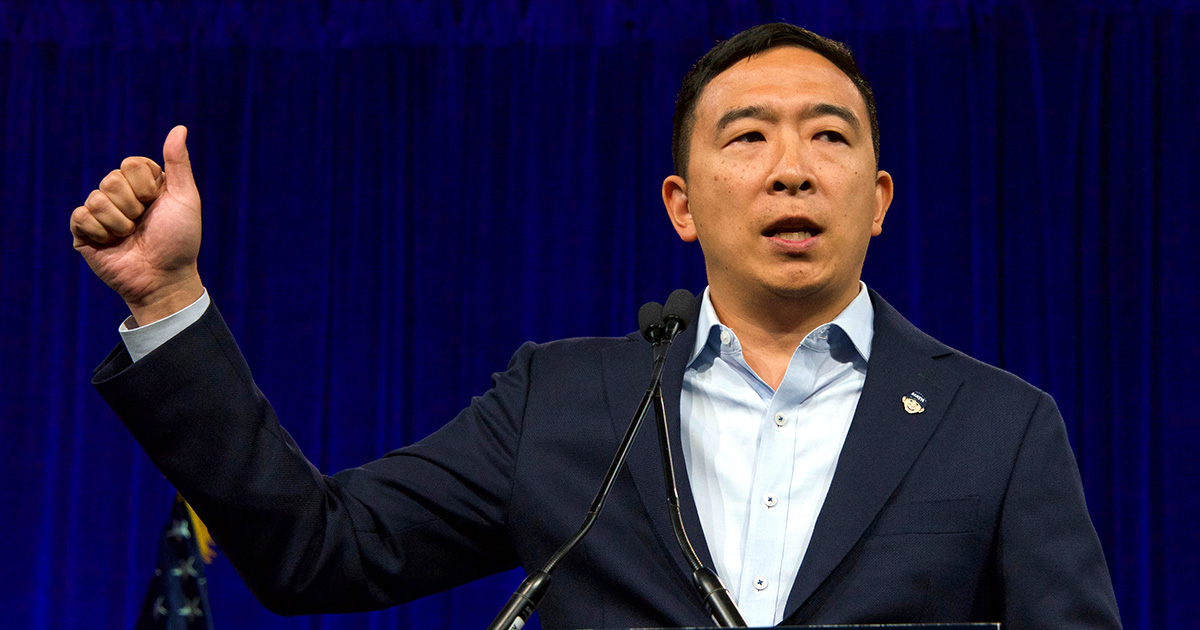 andrew yang, yang, yang gang