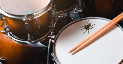 spider, huge, arachnid, scary, bug, drums, kit