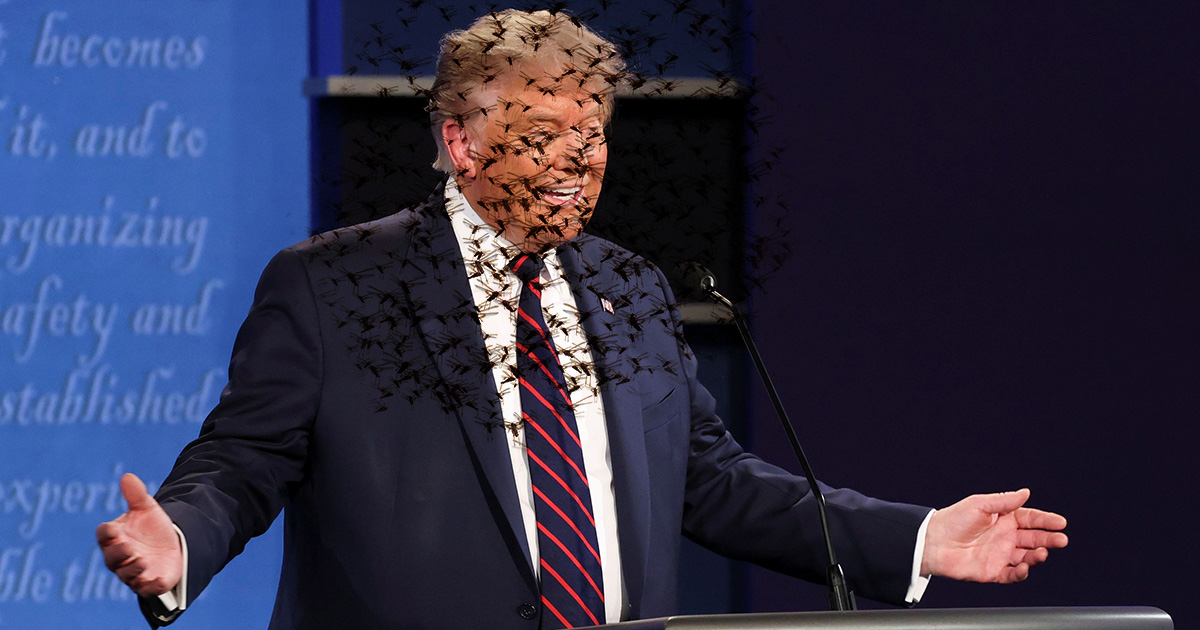 trump, locusts, debate